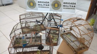 Bpm Prende Dois Homens Por Tr Fico De Drogas E Venda Ilegal De Aves