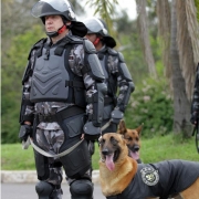 Dois brigadianos vestindo roupas especiais escuras de proteção de tronco e membros, segurando cada um as guias de seus cães da raça pastor alemão, devidamente vestidos com traje específico preto.