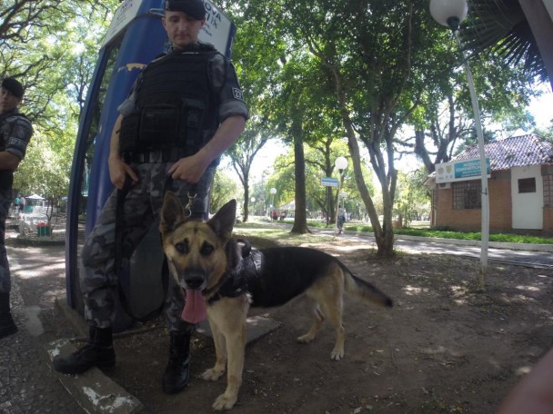 Brigada Militar realiza operação com cães nas áreas centrais do município