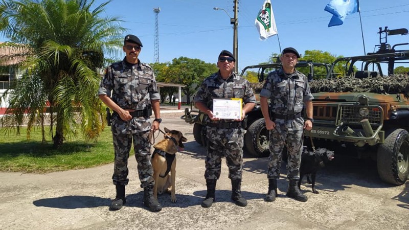 policiais juntamente com cão