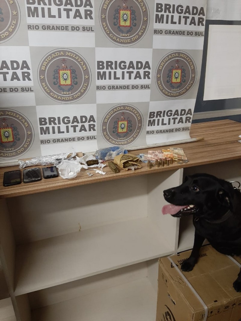 drogas e cão de faro