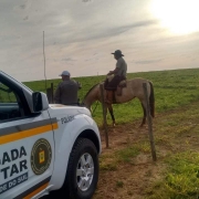 pm da patrulha rural no campo