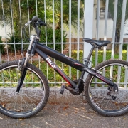 bike 2
