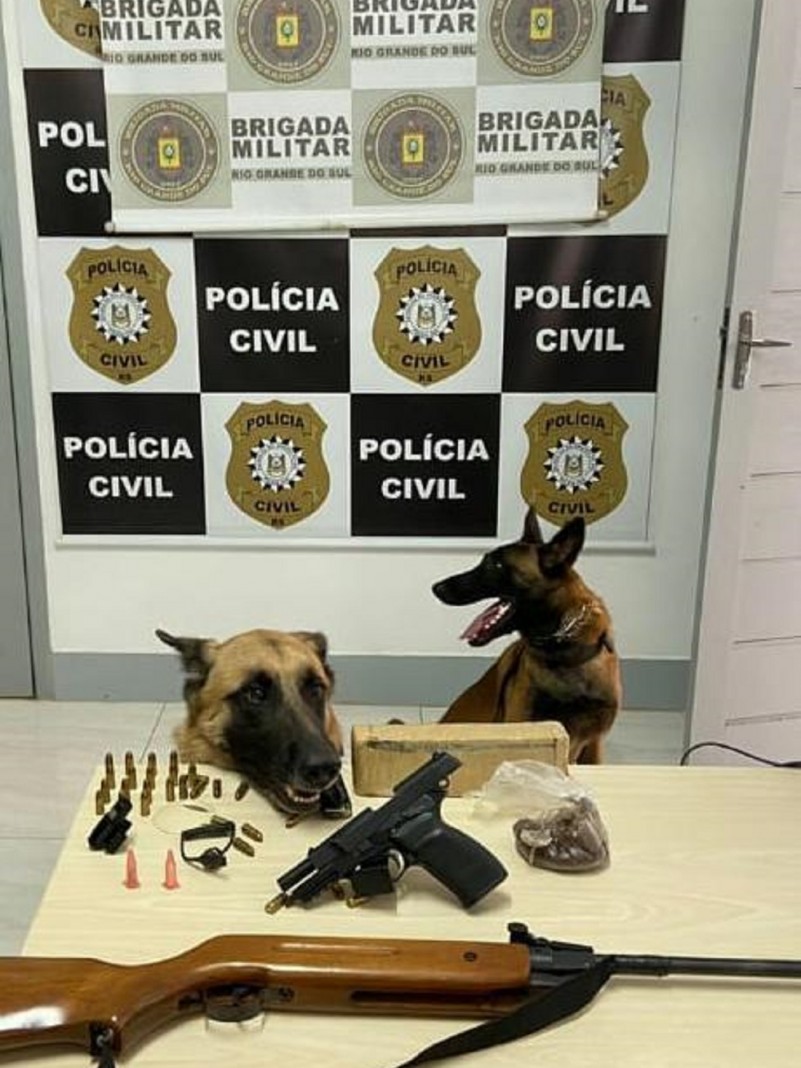Apreensão