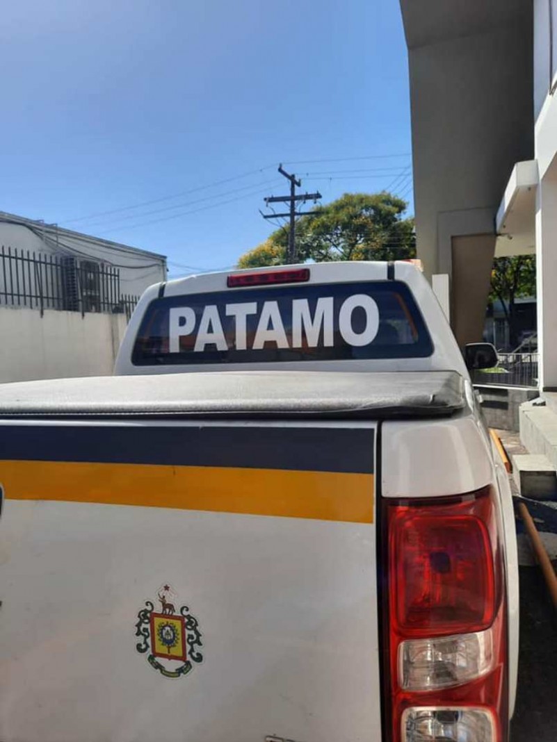 PATAMO 