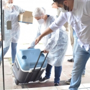 Vacinação dos Policiais