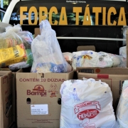 Doação de alimentos para famílias carentes em Canoas