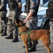 2º BPAT realiza Operação Avante Força Tática em Capão da Canoa e Xangri-lá