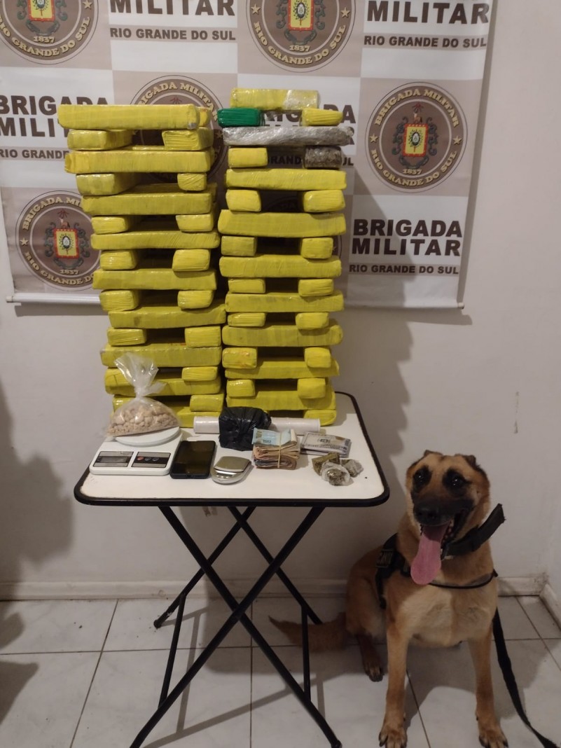 Tabletes de drogas e cão de Faro
