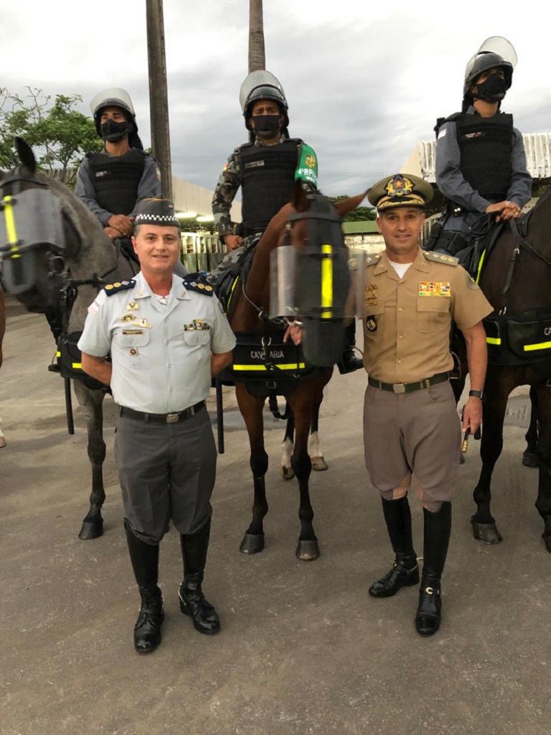 CAVALARIA  Conheça o Regimento de Polícia Montada da PMPR 