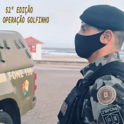02 FEED 1080X1080