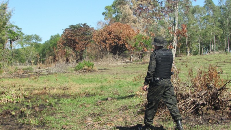 Crime Ambiental em Santa Rosa