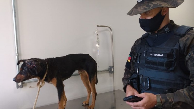 Resgate de Cão em Bento Gonçalves