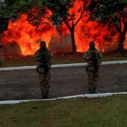 Quatro homens estão de pé lado a lado fardados e com os rostos cobertos. Atrás deles estão arvores com labaredas de fogo.