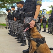AIMORÉ X NOVO HAMBURGO (8)