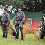 Foto mostra dois soldados, com dois cachorros ao lado, em pé, em um gramado, com as bandeiras do Brasil e do Rio Grande do Sul em segundo plano.