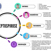Imagem mostra sintomas, diagnóstico, tratamento e profilaxia para a leptospirose