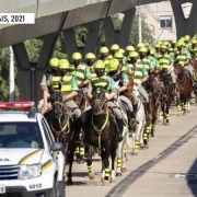 Cavalos policiais, 2021 L