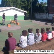 Apresentação em Sta Cruz do sul do Canil Regional, 2019 L