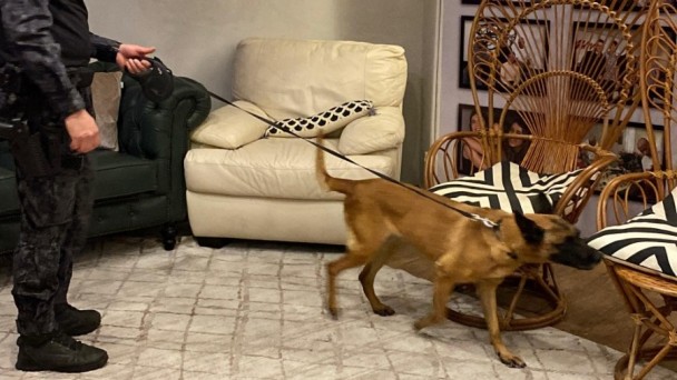 PM atua junto ao c&atilde;o policial que est&aacute; na guia em uma sala. 